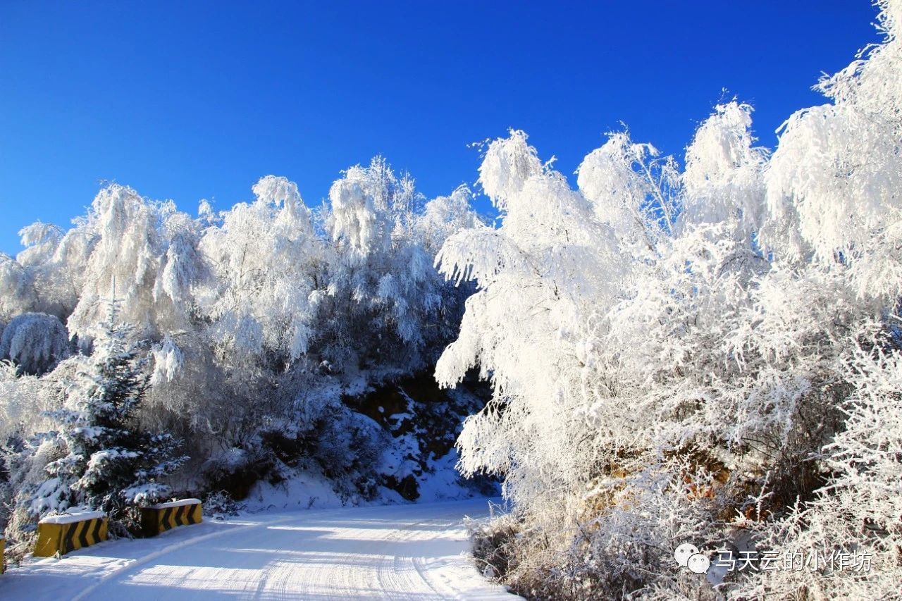 冬天浪漫的雪景高清图片下载-正版图片500672511-摄图网