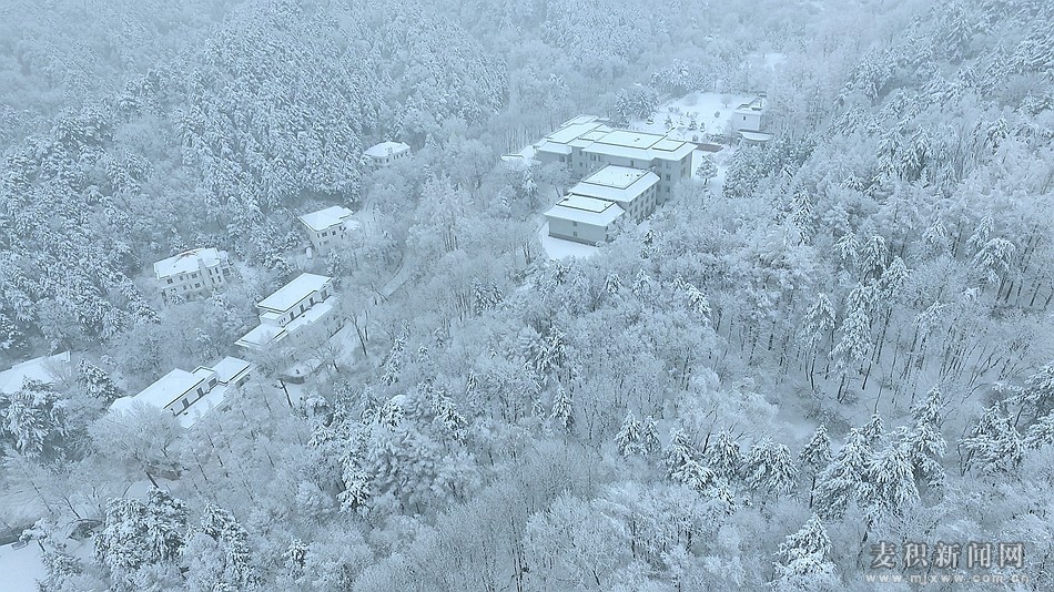 éº¦ç§¯å±±éªæ¯1_å¯æ¬.jpg