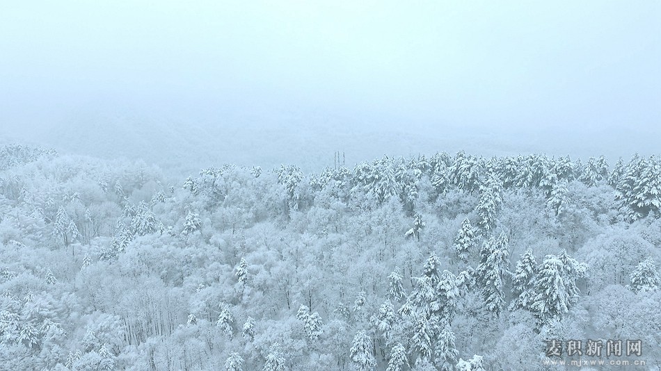 éº¦ç§¯å±±éªæ¯2_å¯æ¬.jpg