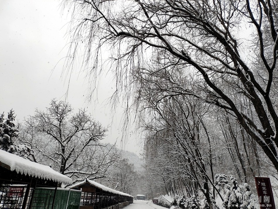 éº¦ç§¯å±±éªæ¯11_å¯æ¬.jpg