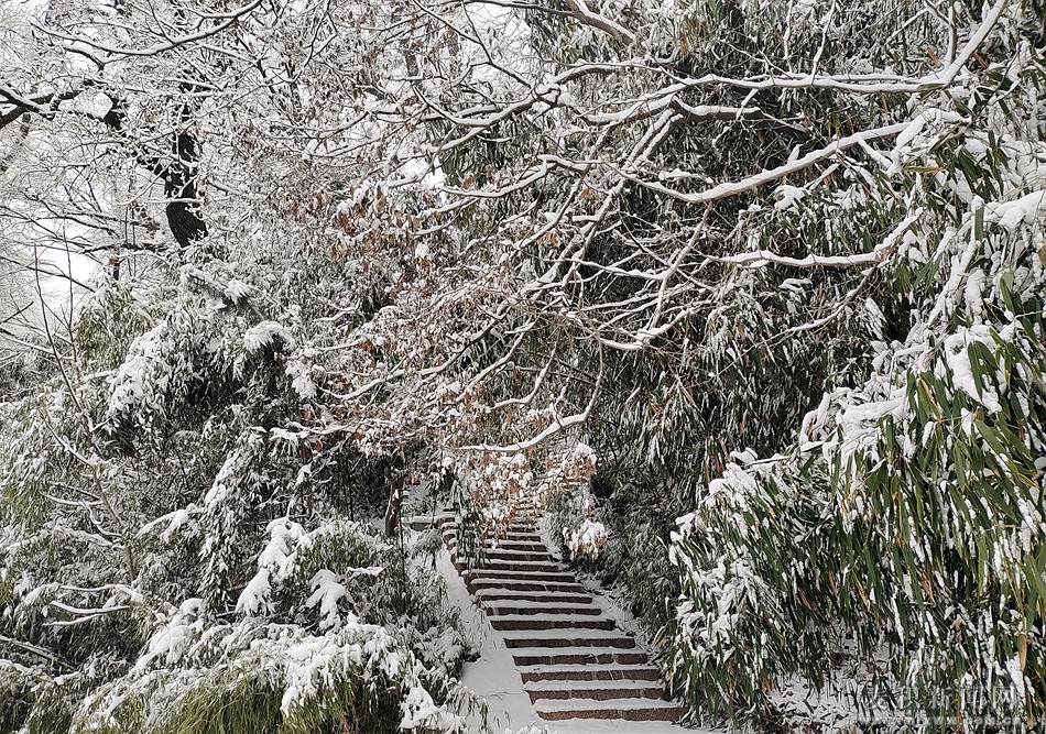 éº¦ç§¯å±±éªæ¯7_å¯æ¬.jpg