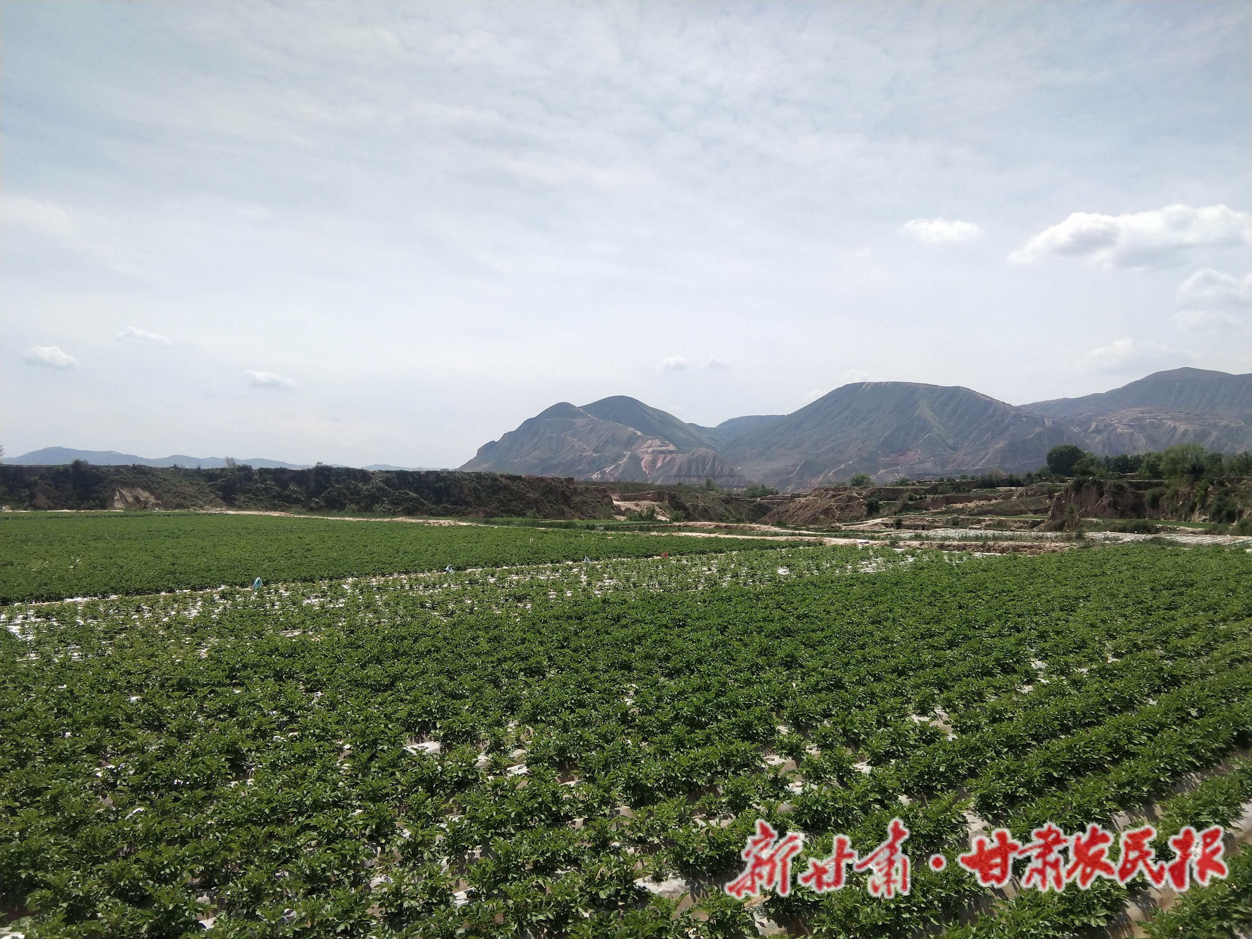 微信图片_20210519214629