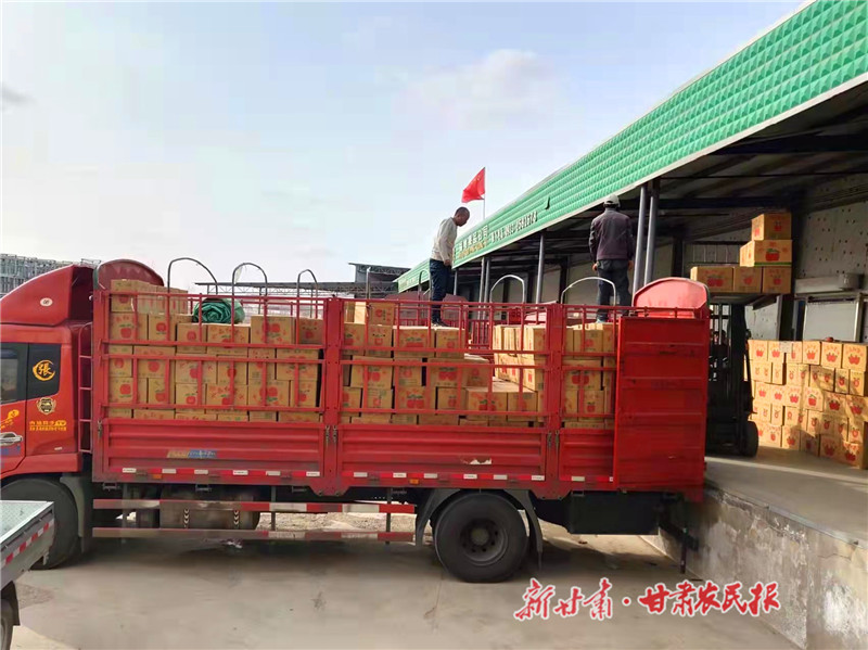 准备出库的静宁县贾河乡苹果_副本.jpg