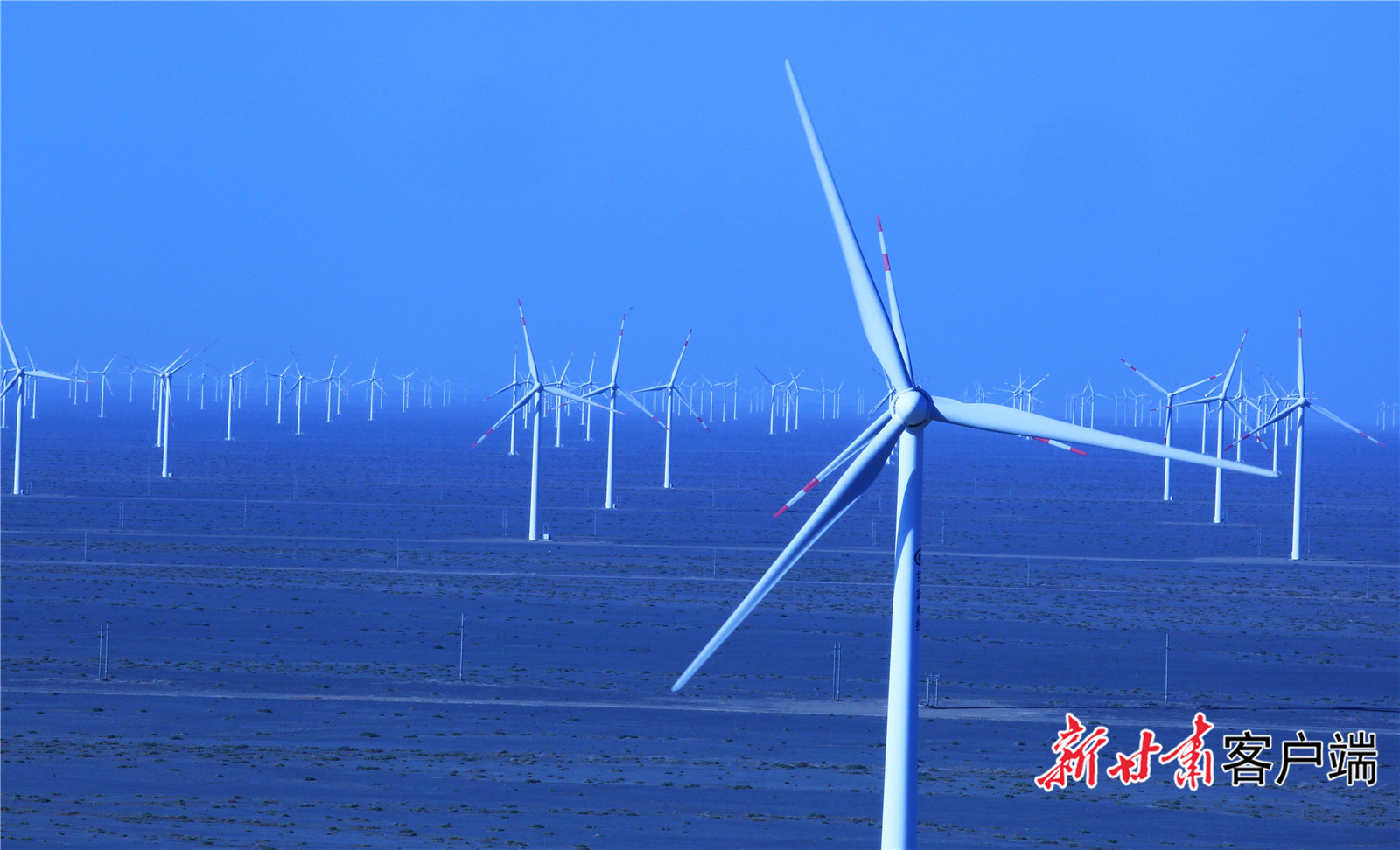 FZ007211754164_A3169475