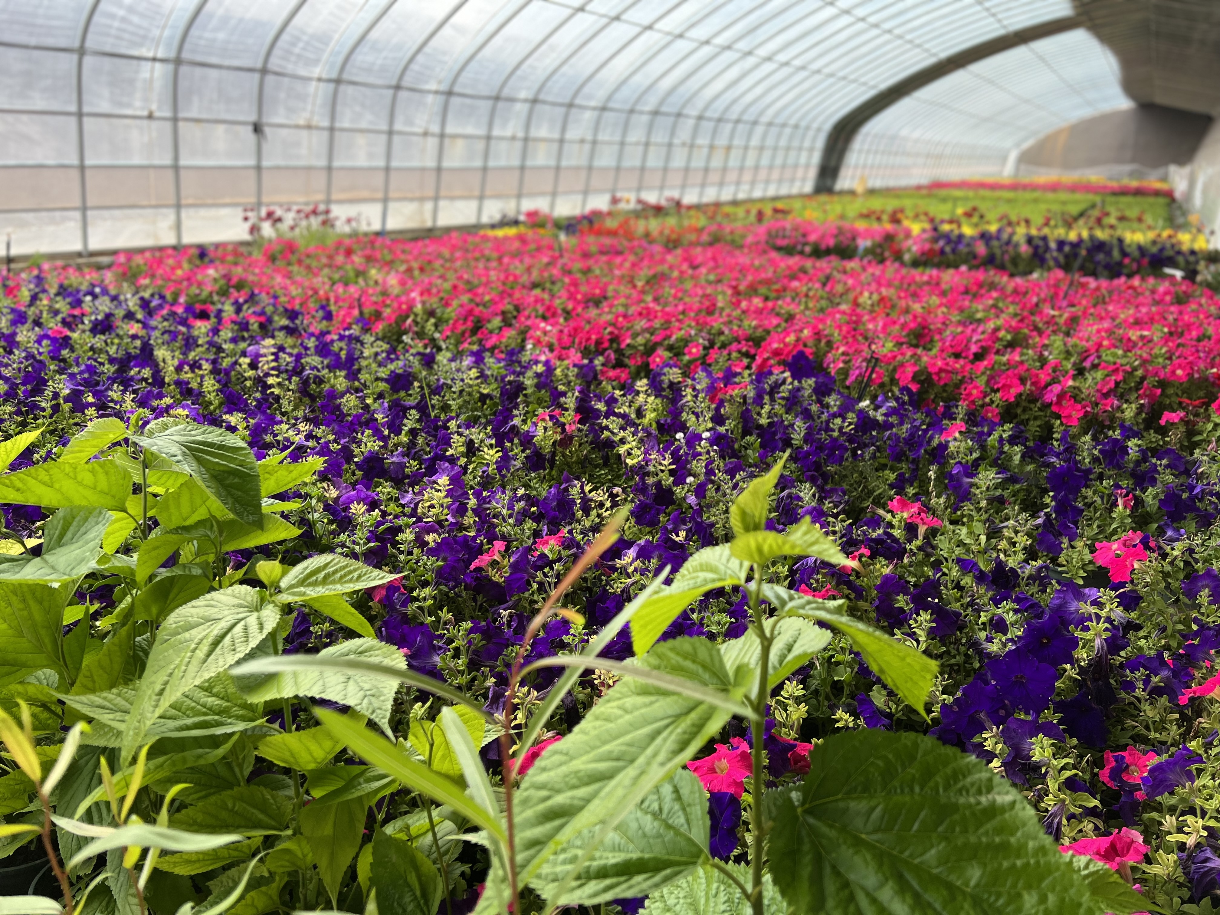 微信图片_20220328210051(12121340)-20220328234602