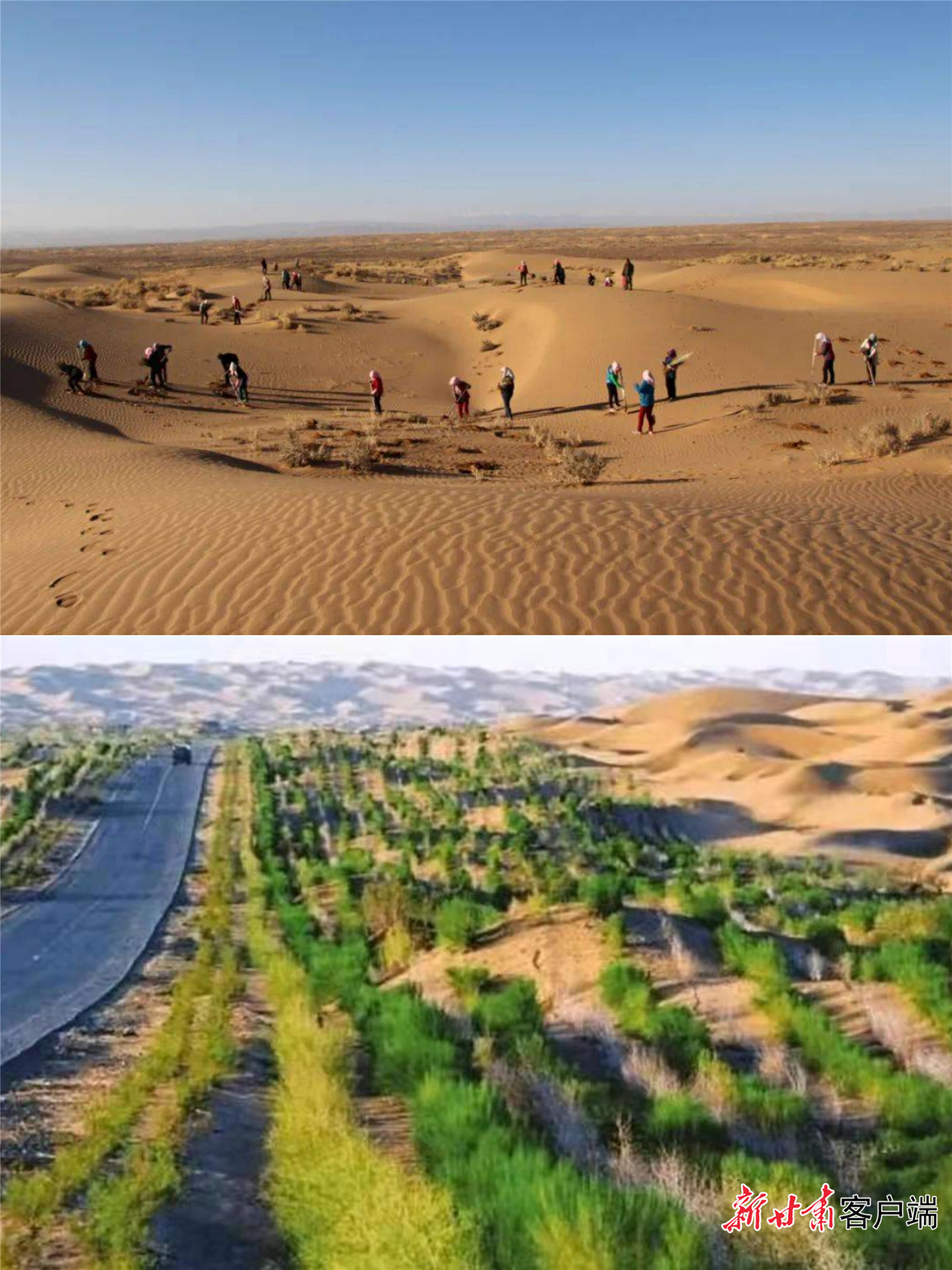 微信图片_20220421175309