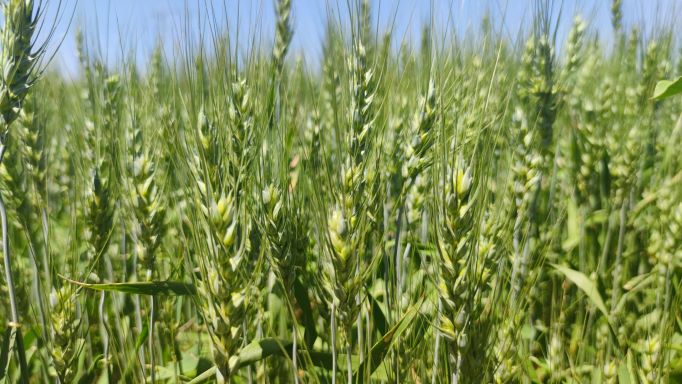 1656647203002023427.jpg 6.jpg