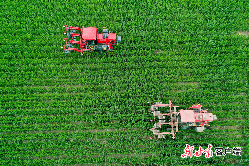 mtxx12.jpg mtxx12.jpg