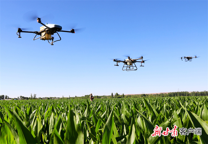 mtxx11.jpg mtxx11.jpg