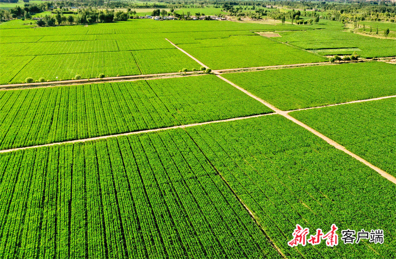 mtxx07.jpg mtxx07.jpg