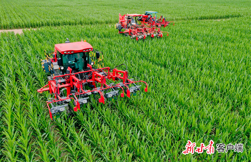 mtxx13.jpg mtxx13.jpg