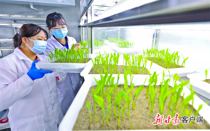 mtxx17.jpg mtxx17.jpg