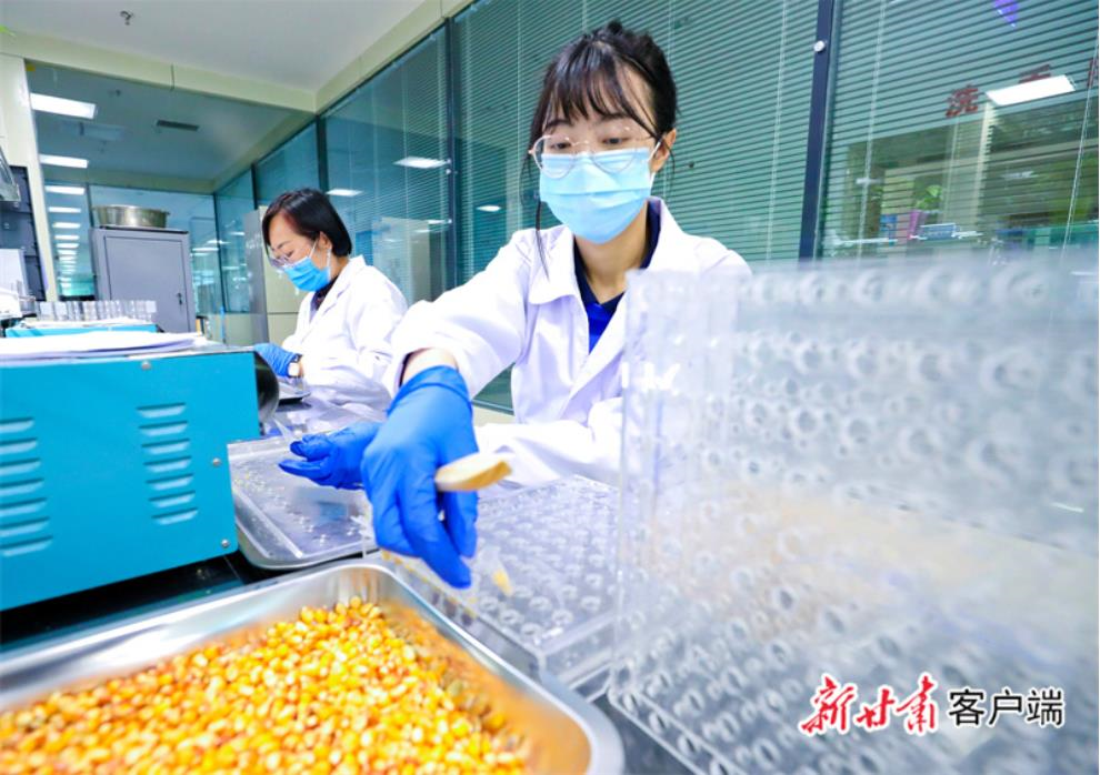 1659572029520019775.png image.png