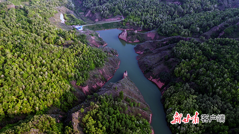 正宁县永正乡刘堡子柳树湾1号坝。庆阳市水保局提供.jpg