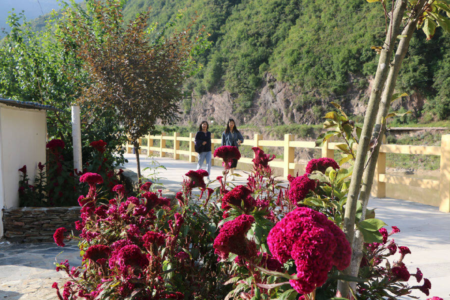 风景如画的镡河村（田兴文 摄）