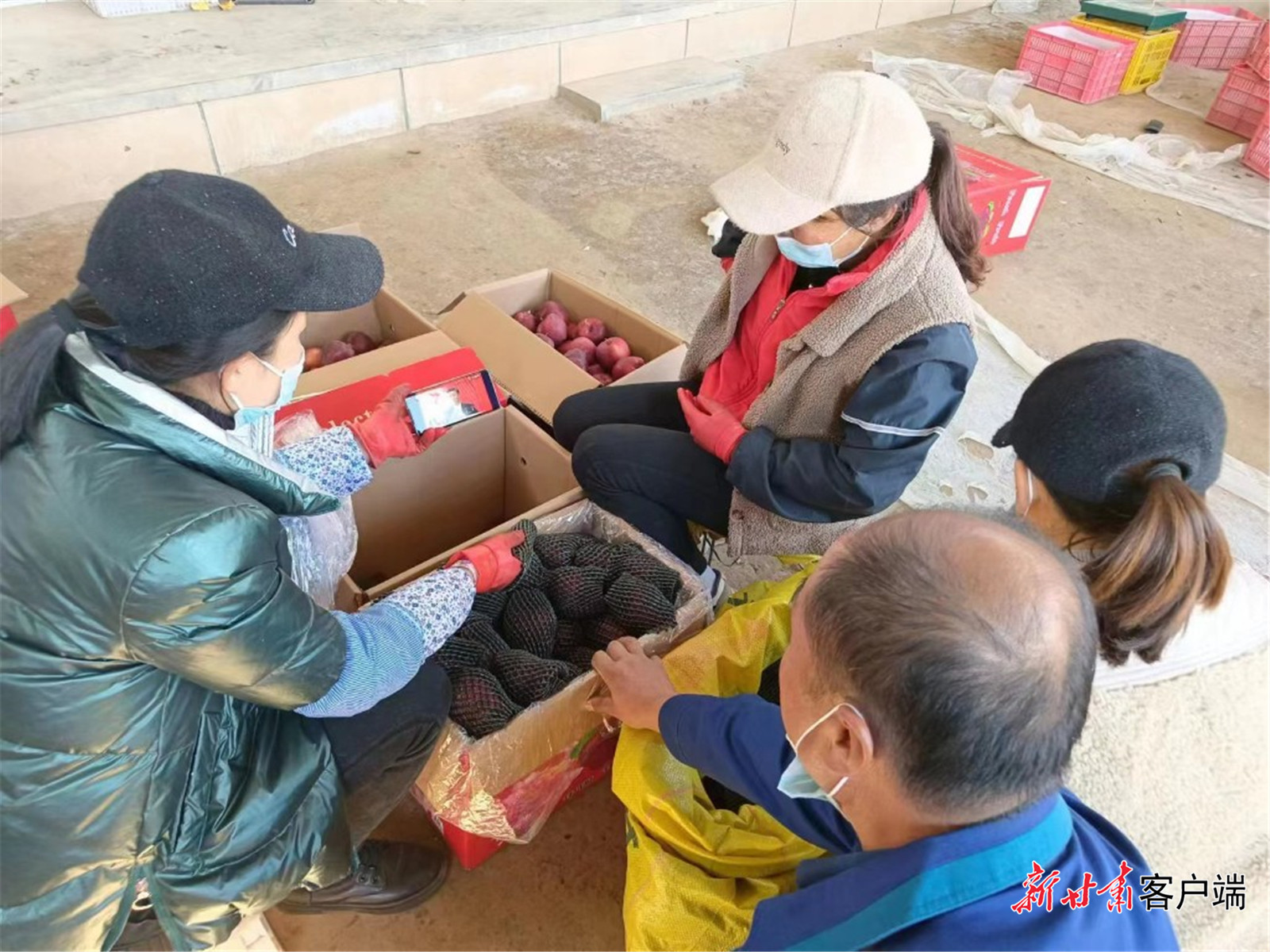 FZ007217062654_A3514228