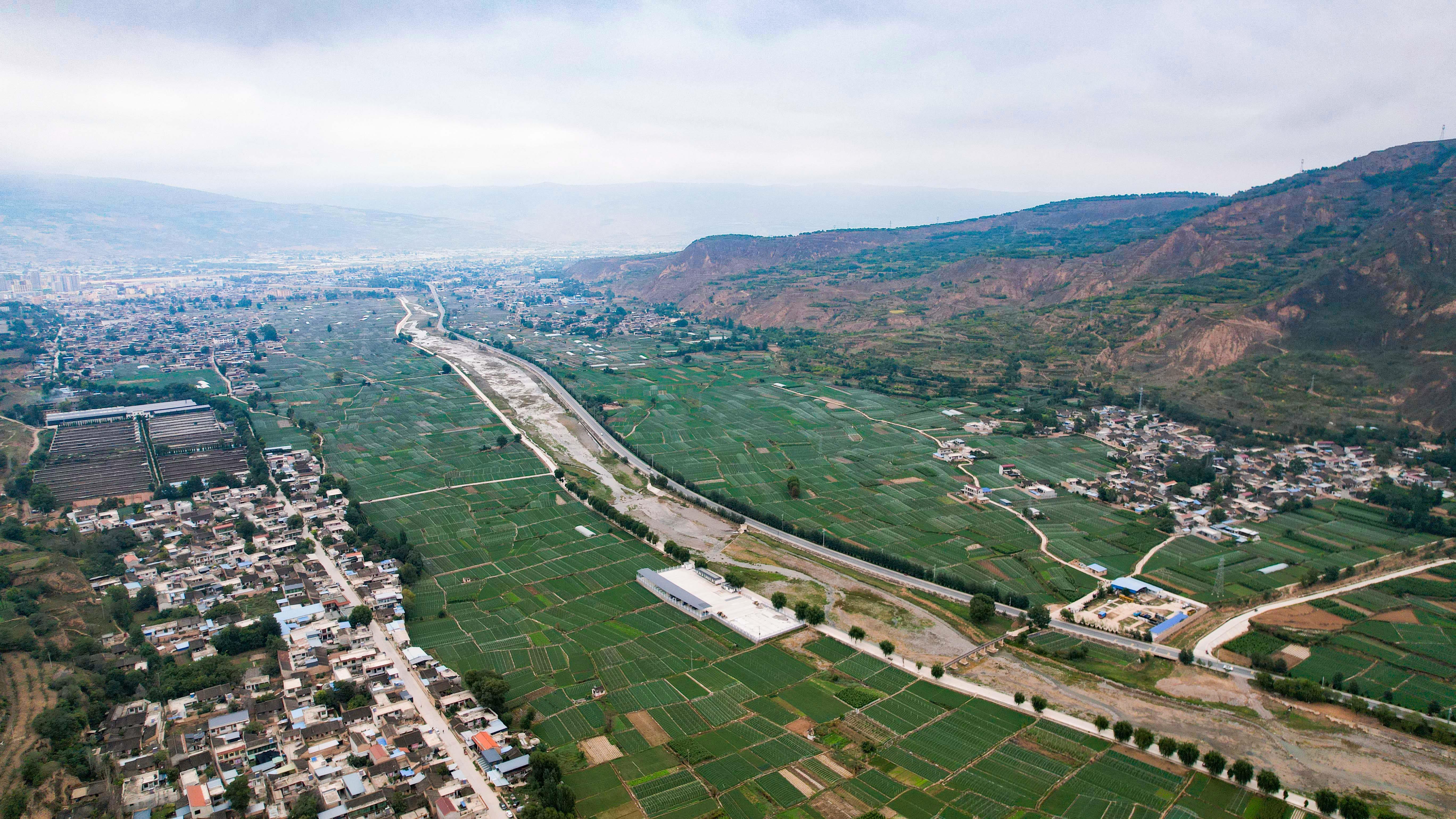 1667532305799081992.jpg c5f91bd8ae43a2835233ba48a6d2f50.jpg