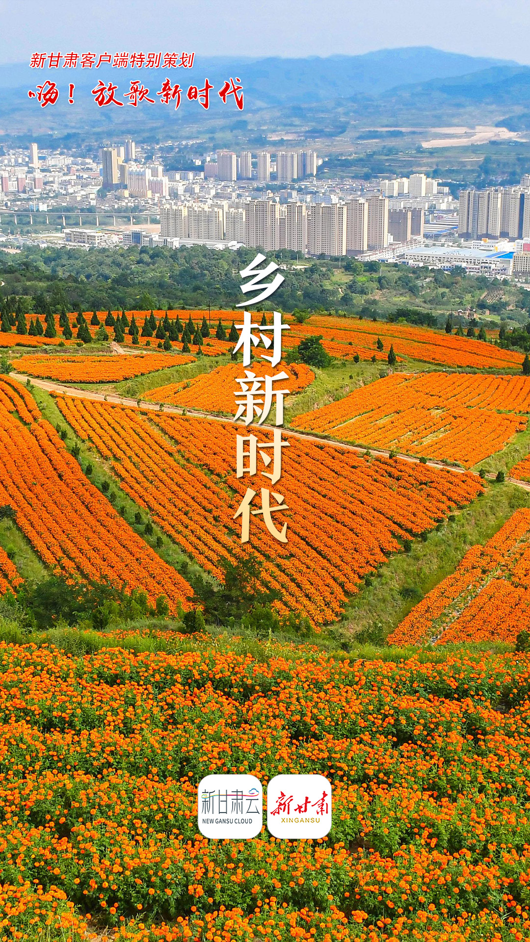 1667546037384029859.jpg 6a4b174e45c4b0700980cfa2dc8b77a.jpg