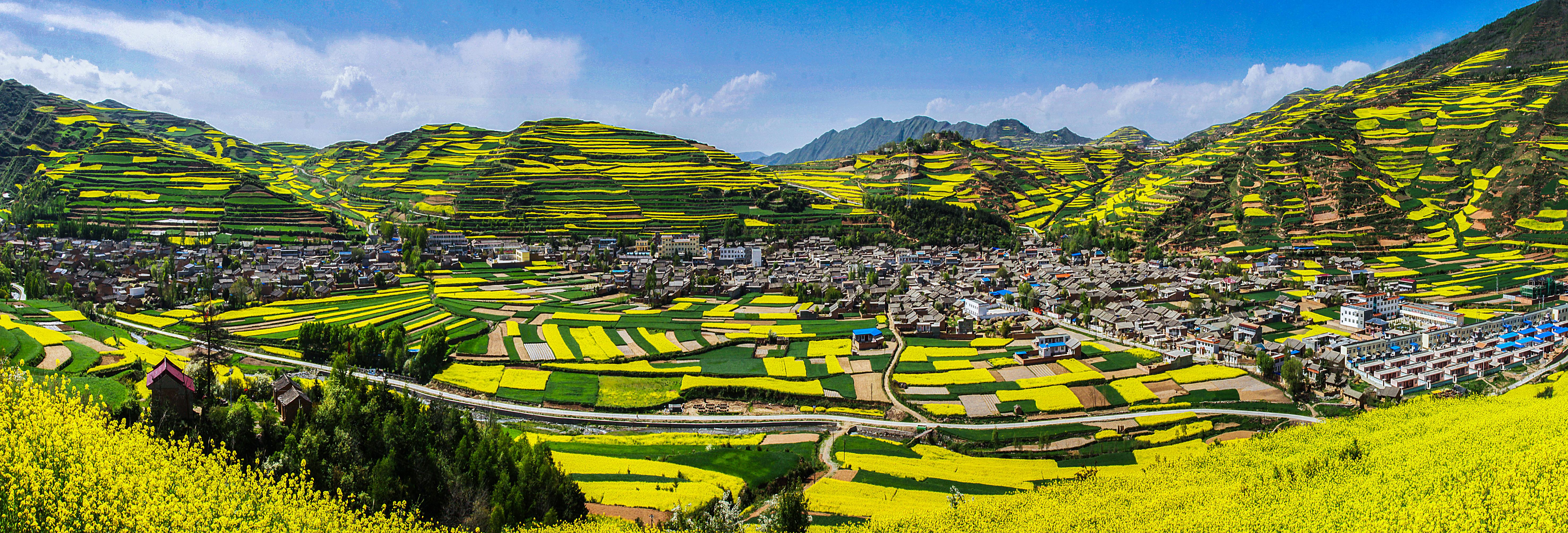 1667546196633080752.jpg 6beabfb087cf42f7b723c094bead9fd.jpg