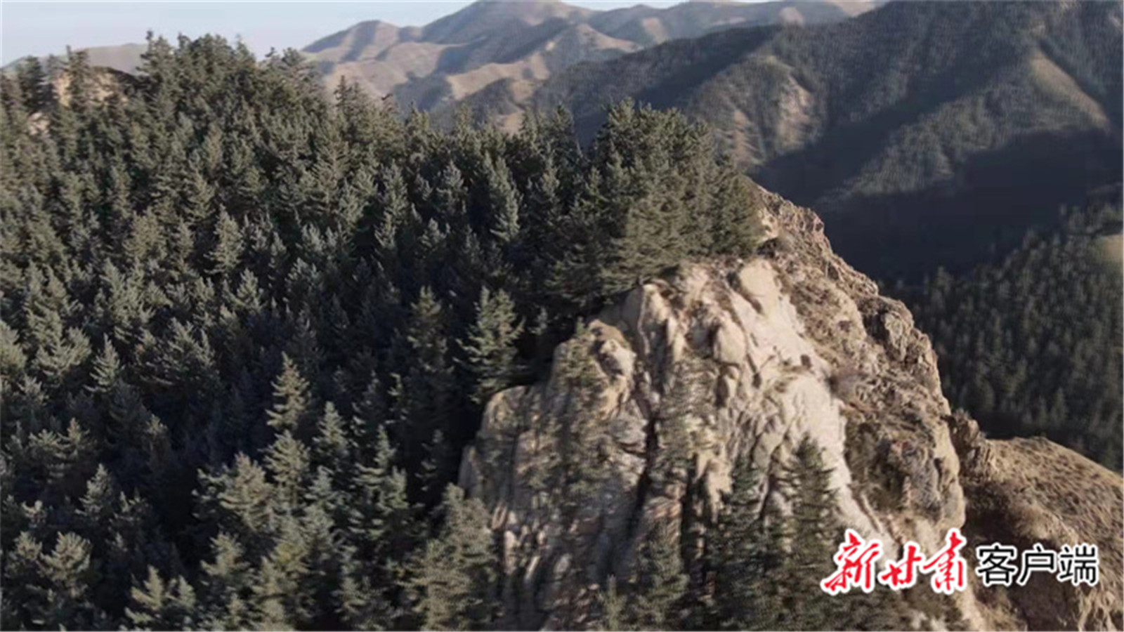 1669268927582071011.jpg FZ007218217701_A3566164.jpg