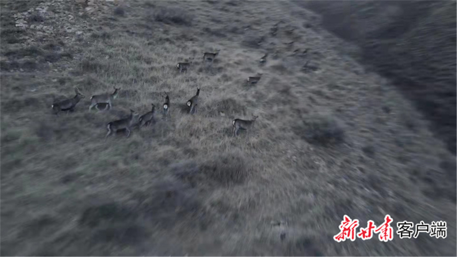 1669268966607017836.jpg FZ007218217701_A3566162.jpg