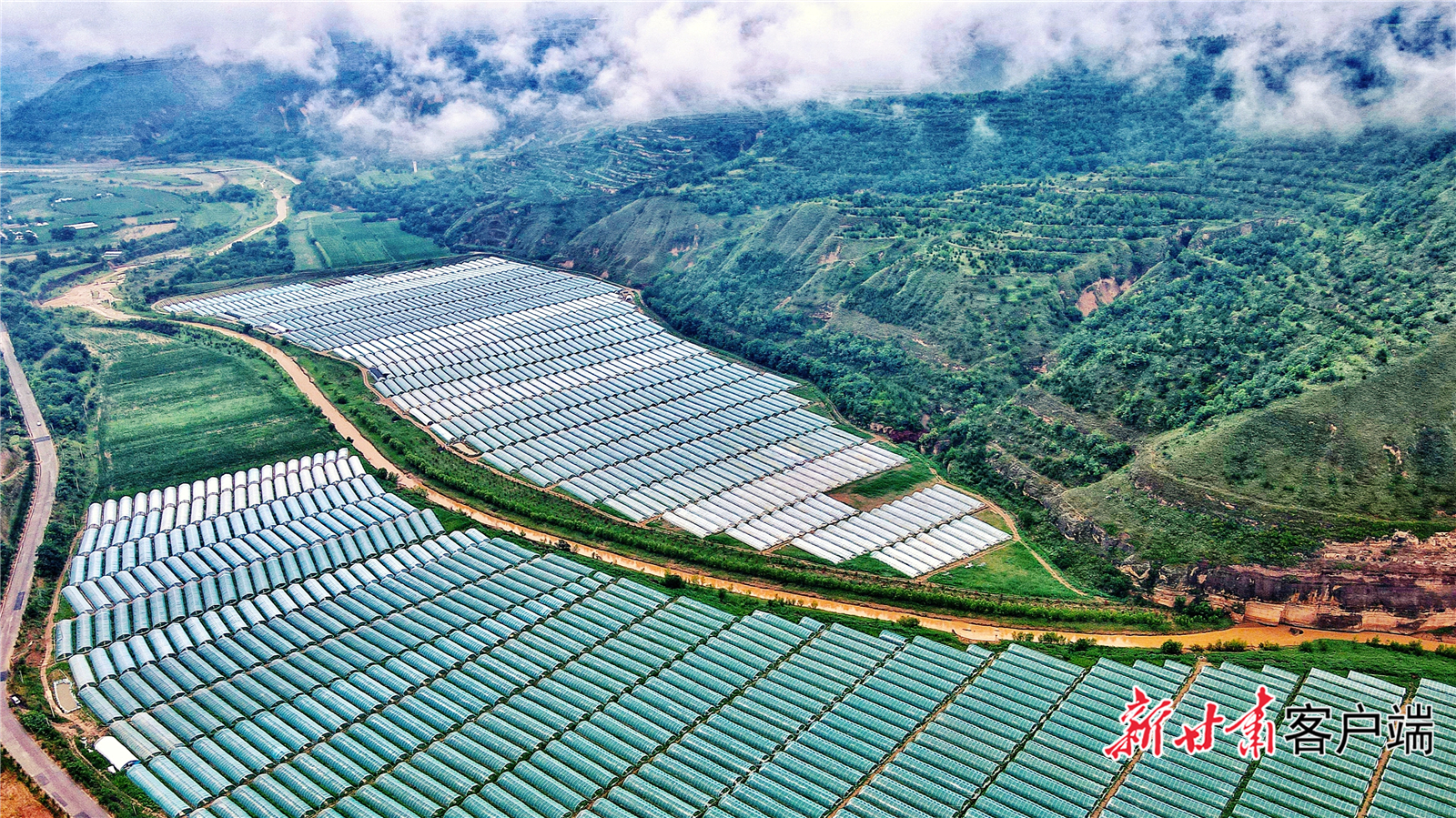 西峰区肖金镇纸坊村设施瓜菜基地。