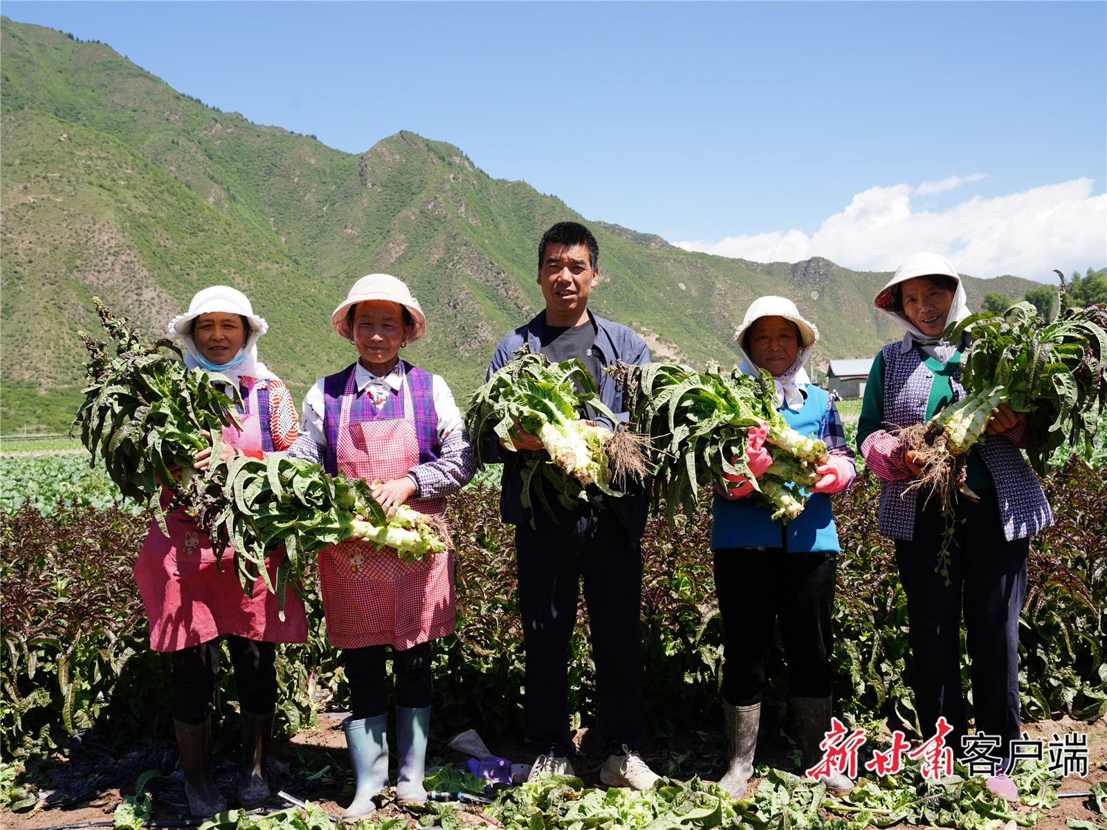 临潭多措并举,努力让农村居民过上更有品质的幸福生活。