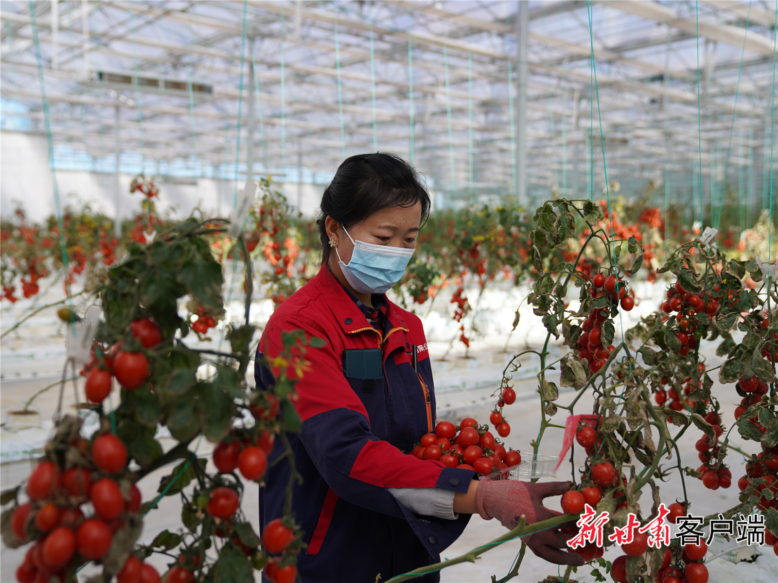 引导农户有效嵌入主导产业链,提升发展能力,激发内生动力。