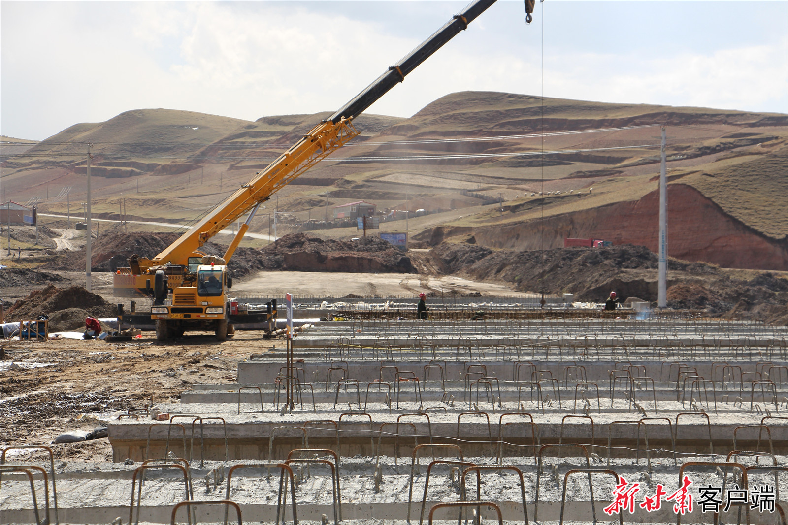 全力以赴推动“甘肃甘南合作国家农业科技园区”建设