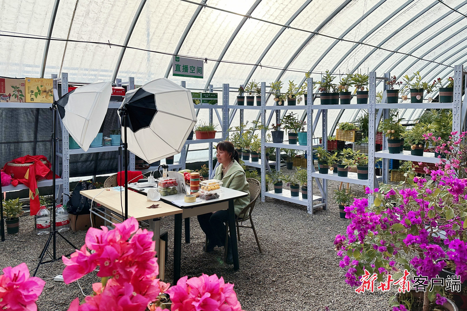 FZ007219627122_A3650896