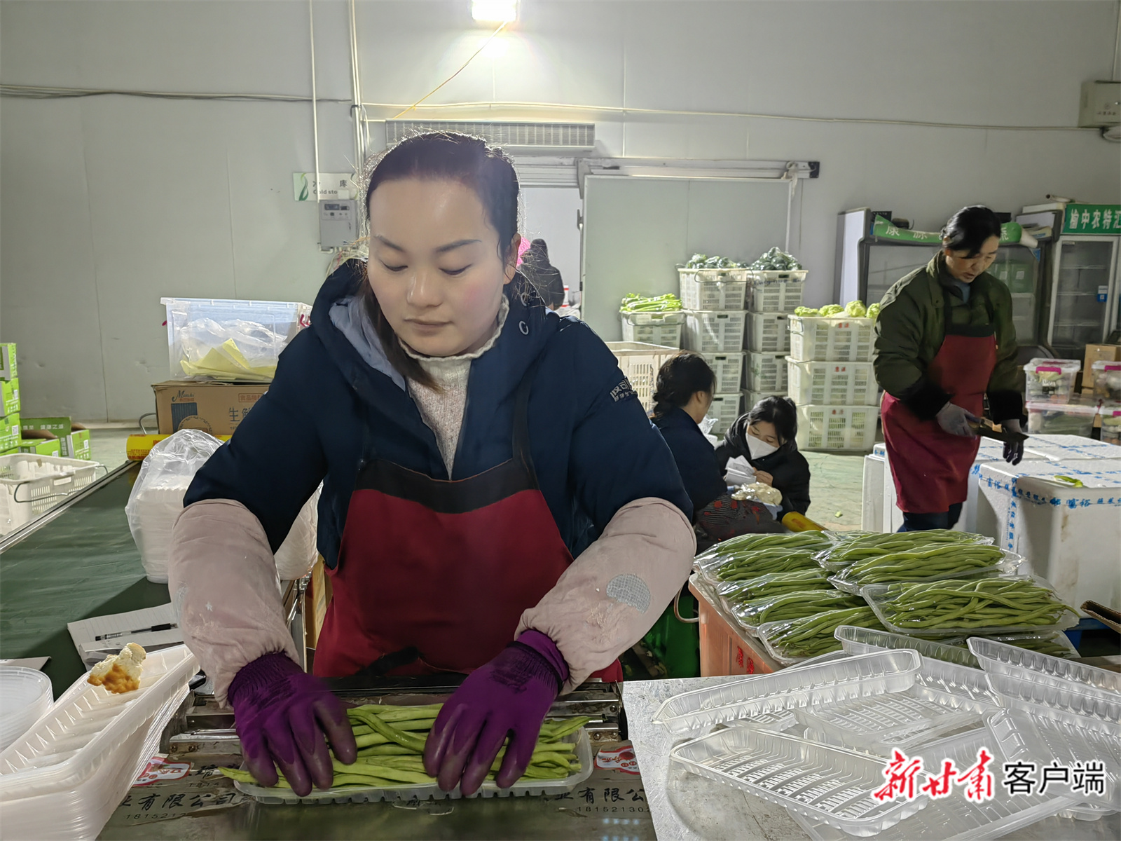 康源公司工人工分拣蔬菜.jpg