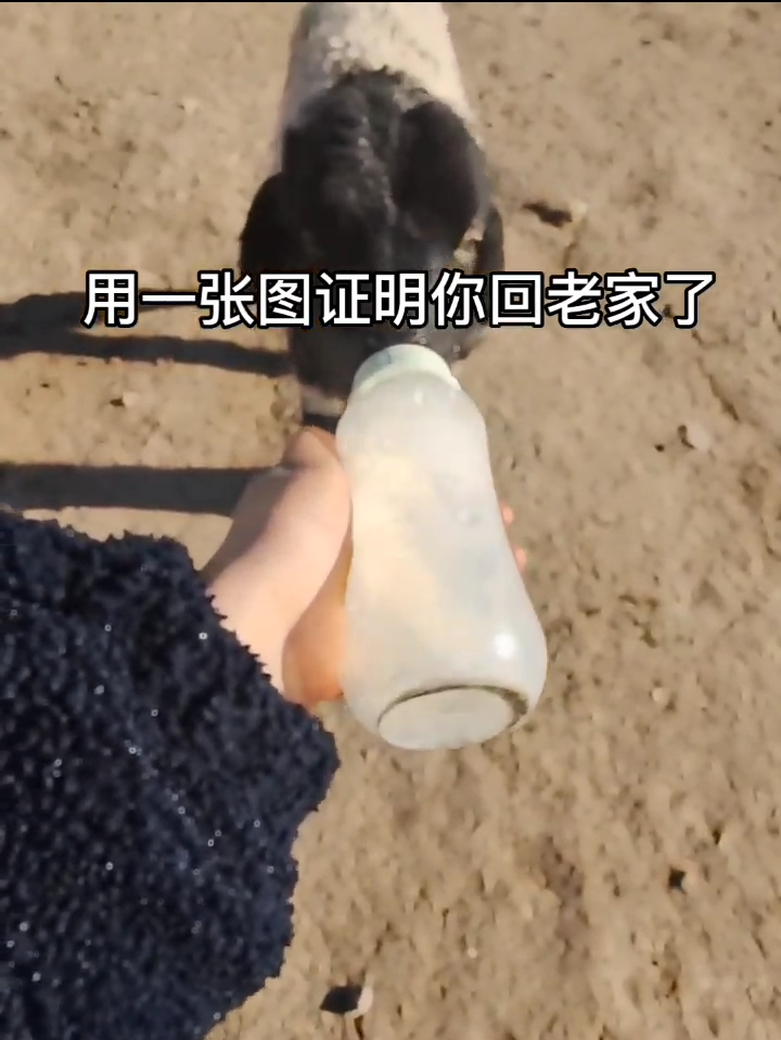 回老家啦！[00_00_02][20230202-140711]