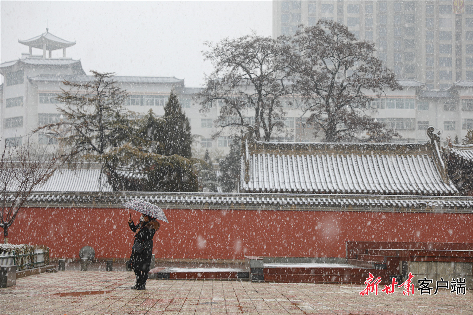 FZ007219888305_A3671467