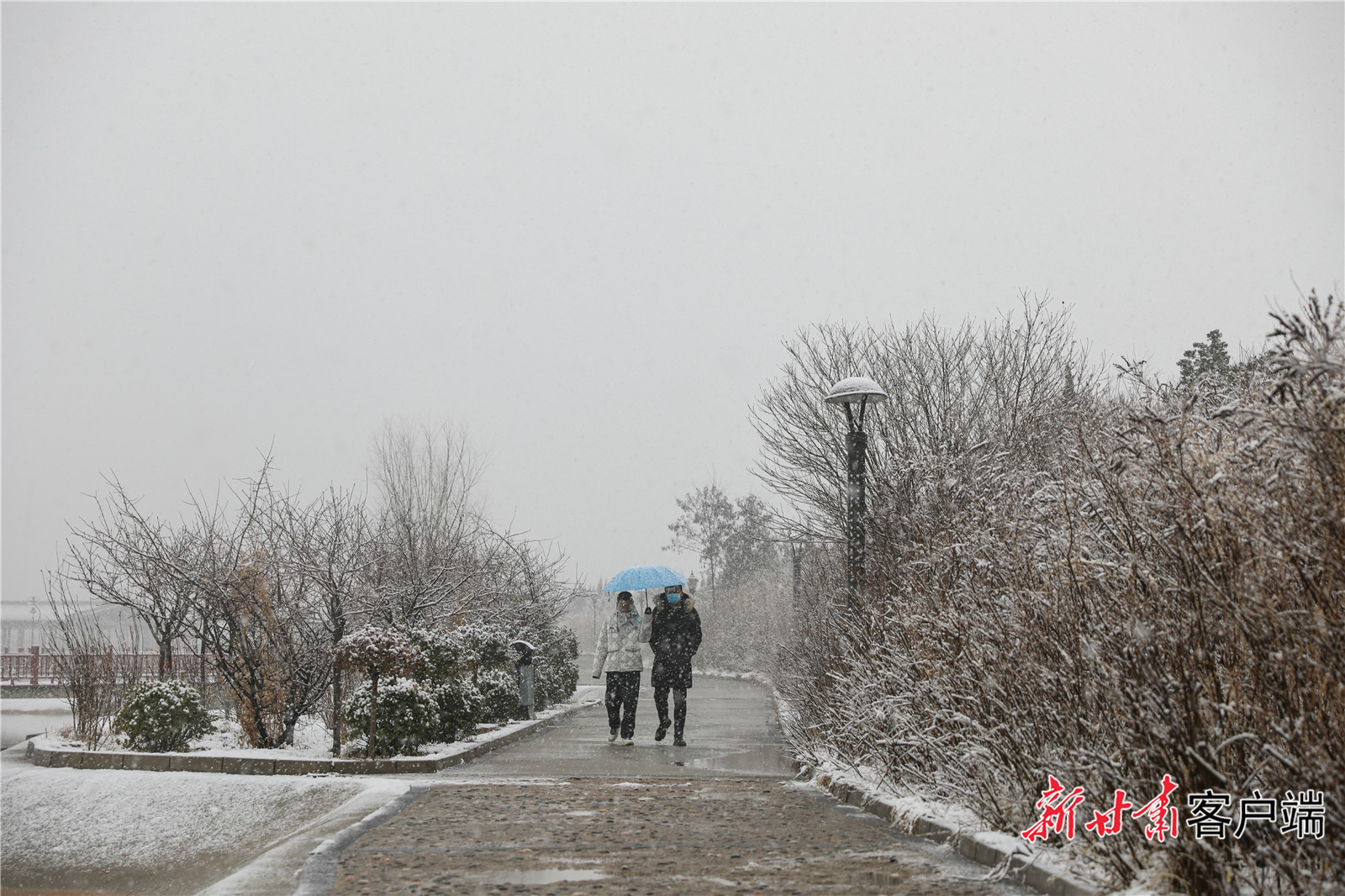 FZ007219888305_A3671472