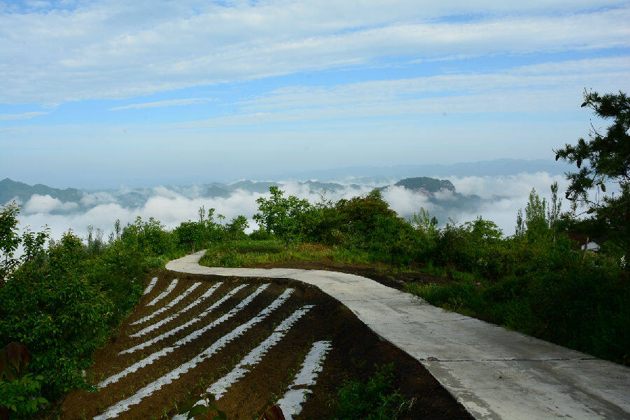 通往云海的乡村公路，全国森林乡村西坡镇崖头村。（李三良 摄）