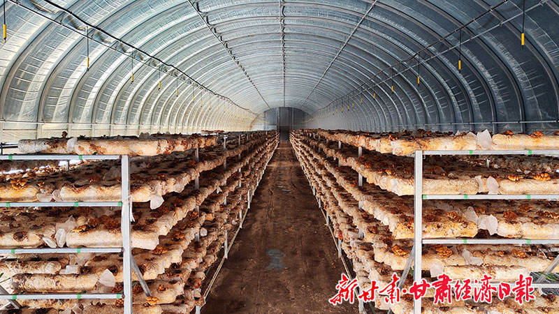Yes（一版头题-强信心稳经济促发展