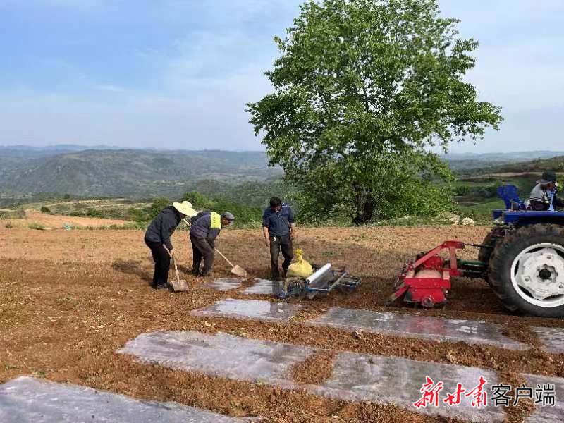 FZ100422603020_A3833597