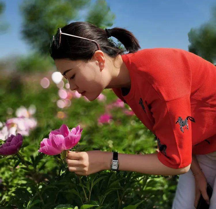 1685348236138059198.png 1685348236138059198.png