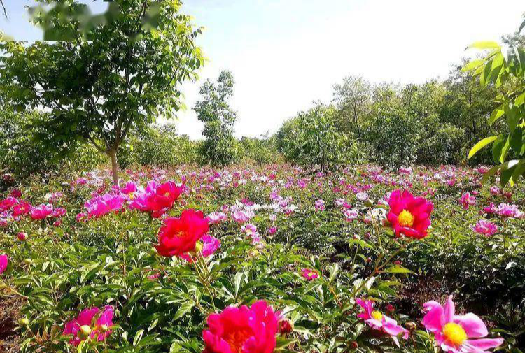 1685348122834094771.png 1685348122834094771.png