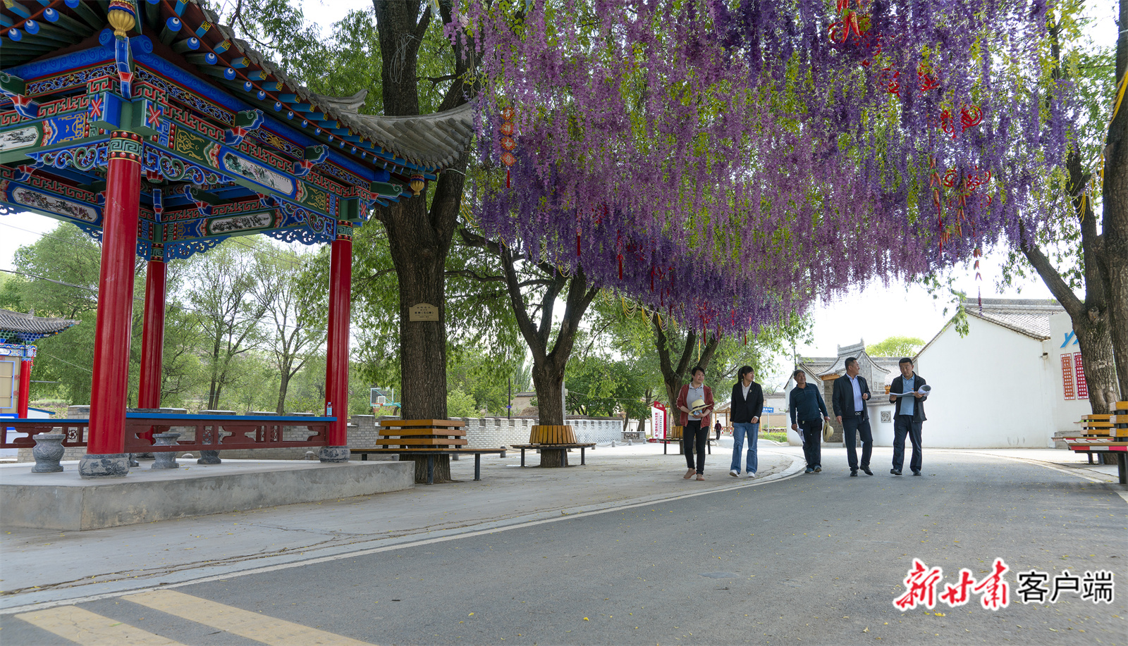 通渭县李家店乡隔里沟村     张子斌.jpg