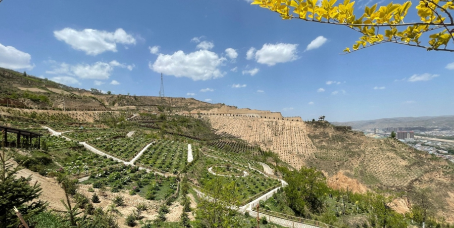 1686706527289066757.png image.png