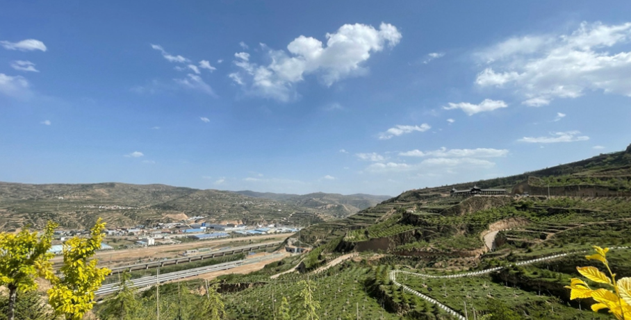 1686706543013051313.png image.png