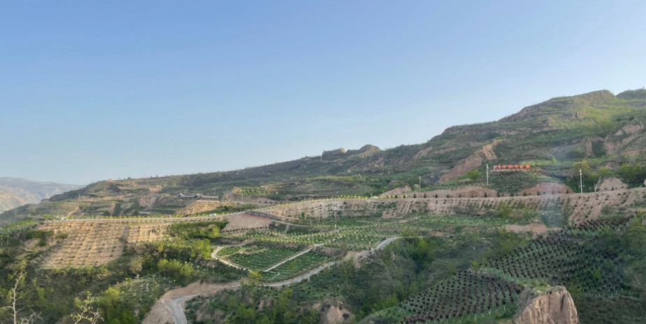 1686706549944055299.png image.png