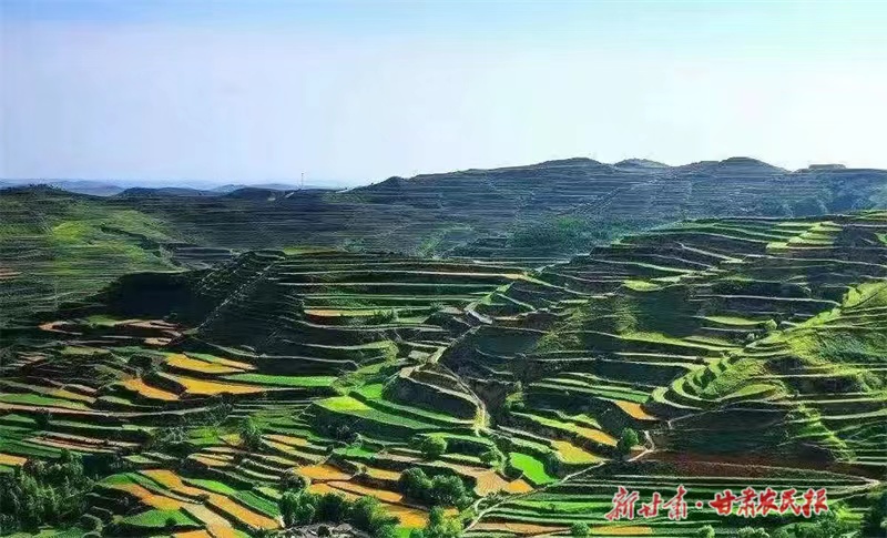 寻觅当“夏”，能不“忆”庄浪？