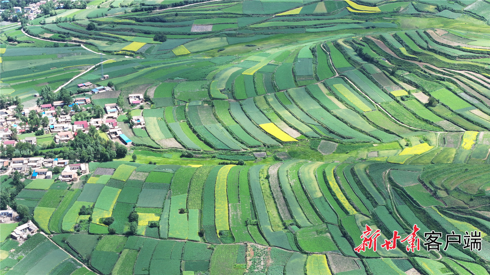 DJI_20230706110839_0444_D.JPG