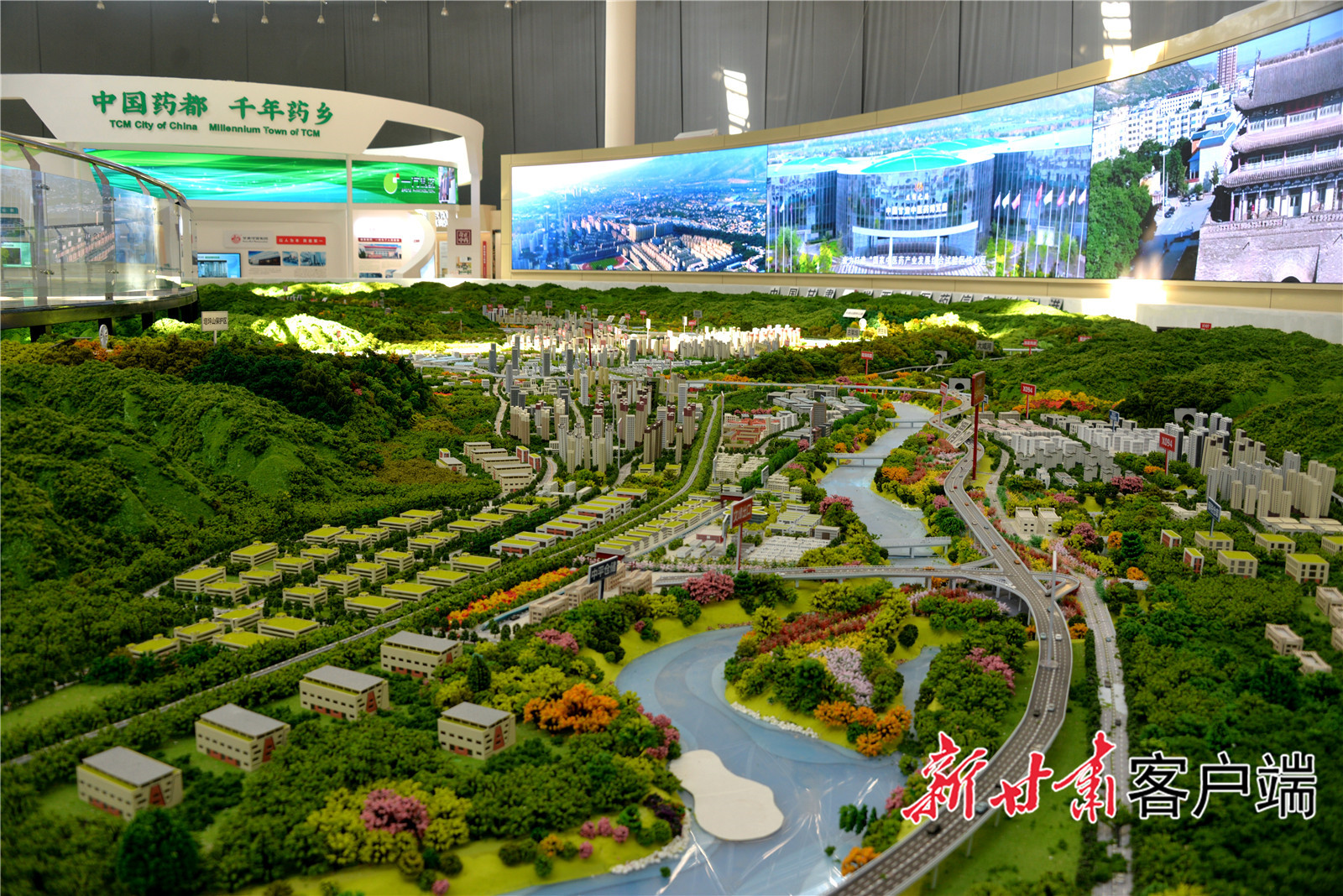 中国甘肃陇西中医药信息物流港沙盘.JPG