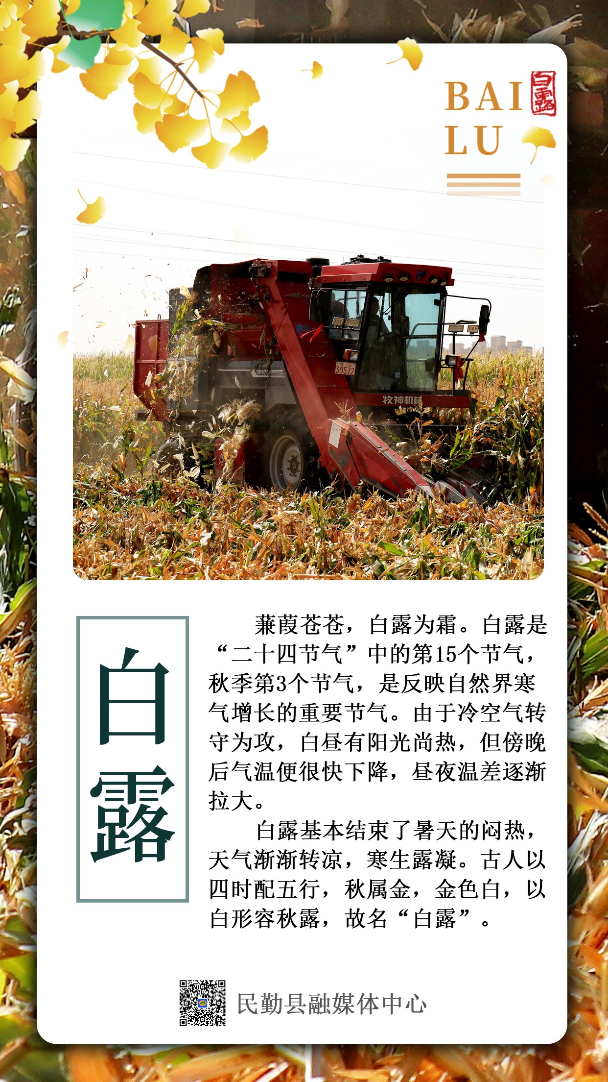 1693986035688004617.jpg 民勤.jpg