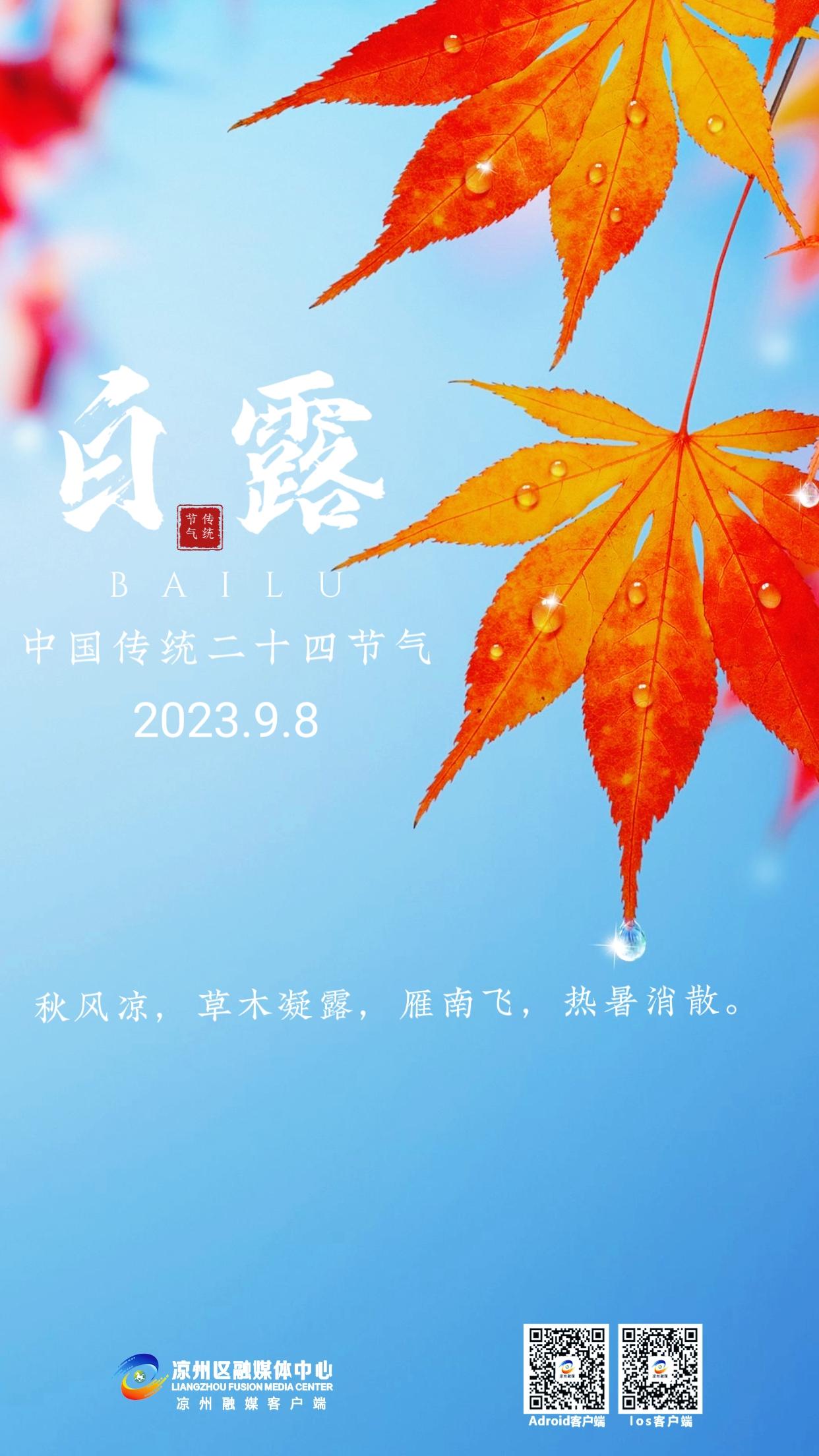 1693986081002094285.jpg 凉州区.jpg