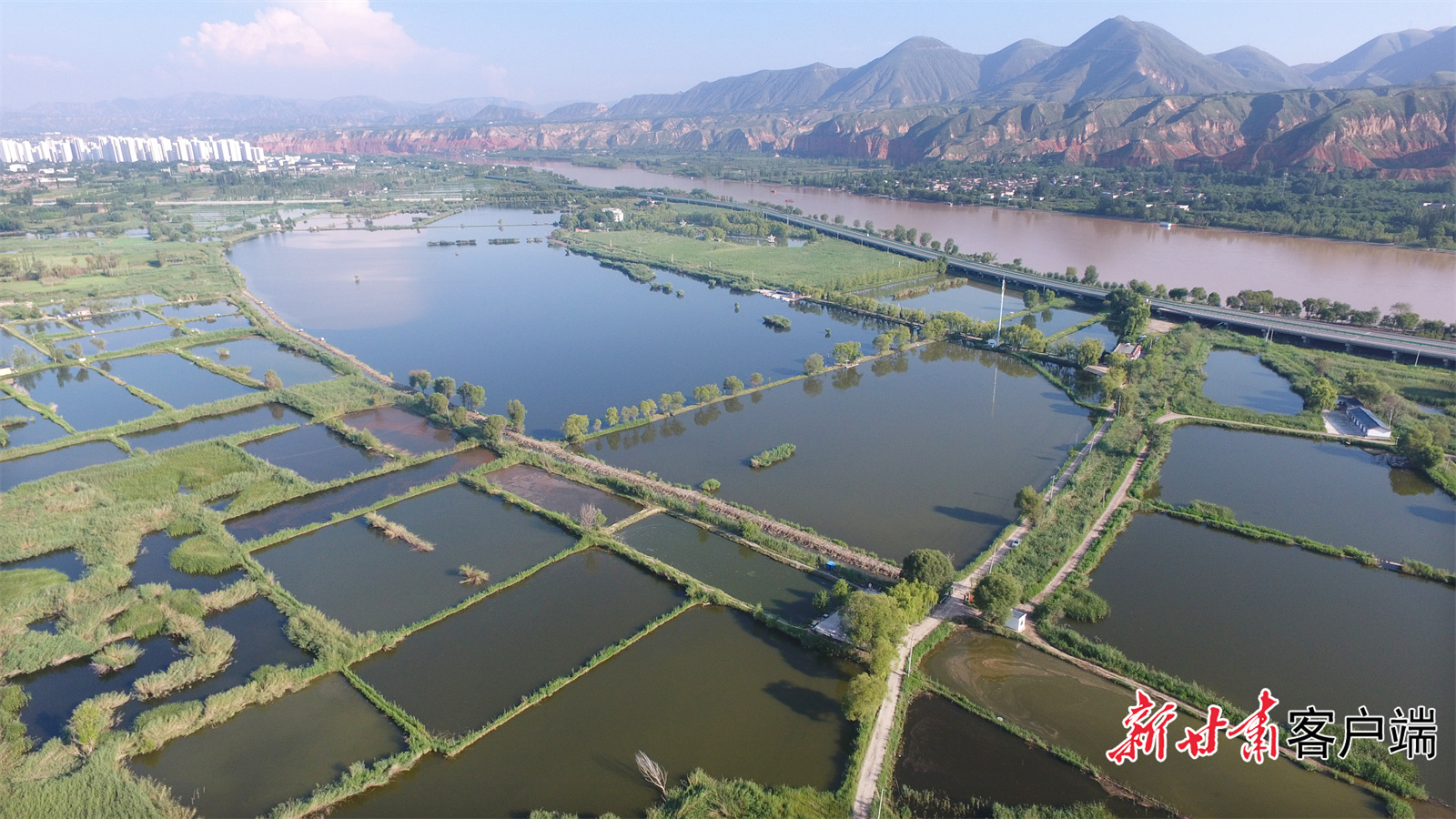 永靖县太极岛黄河黄河湿地.JPG