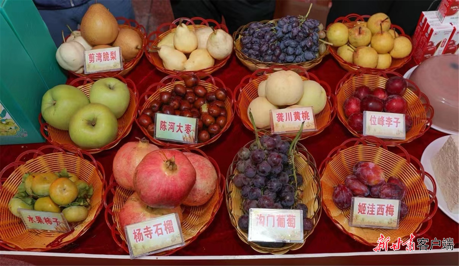 FZ007225905879_A4076311